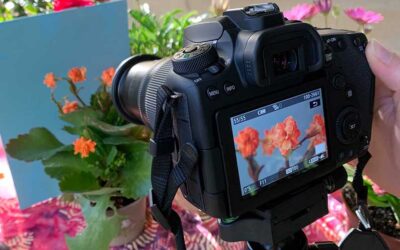 Fotografía Macro