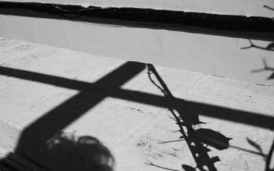 Curso de Fotografía Creativa – Alfabetografía
