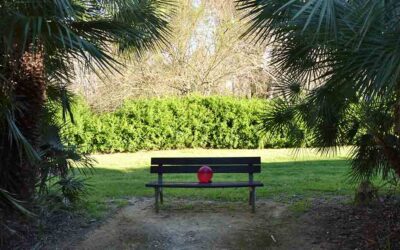 Curso de Fotografía Creativa – Una Foto en Dos Horas